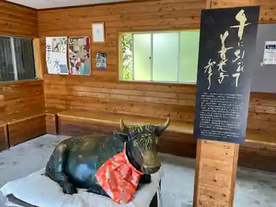 善光寺の体験その他