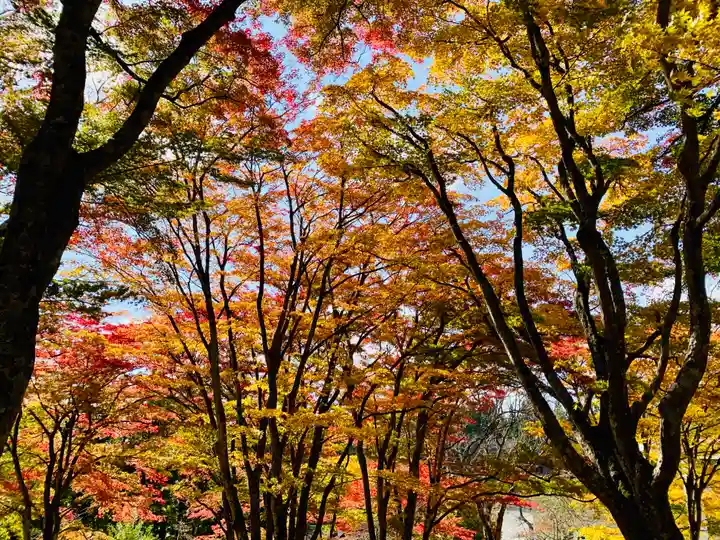 土津神社|こどもと出世の神さまの自然