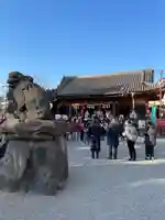 浅草神社の狛犬