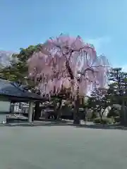 道仁寺(宮城県)