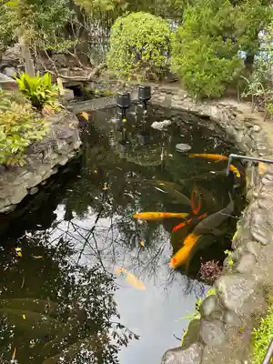 厳島神社(東京都)
