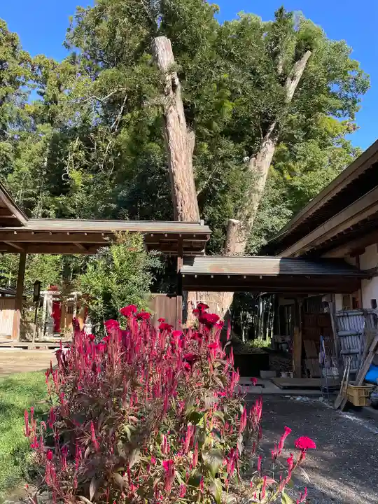 雄琴神社(栃木県)