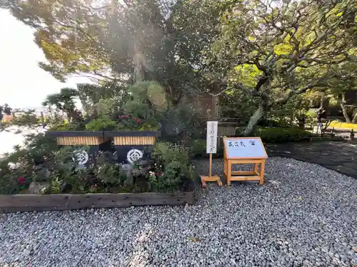 長谷寺の庭園