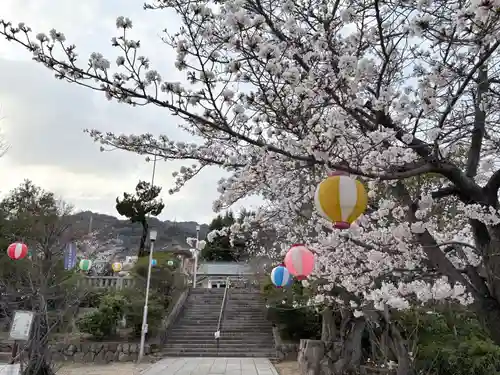 兵庫縣神戸護國神社(兵庫県)