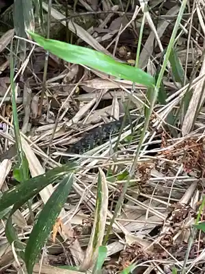 中山寺奥之院(兵庫県)