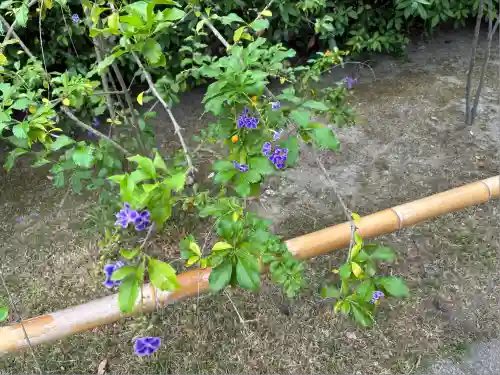 南宗寺(大阪府)