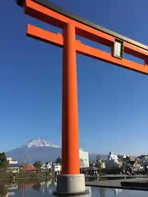 富士山本宮浅間大社の鳥居