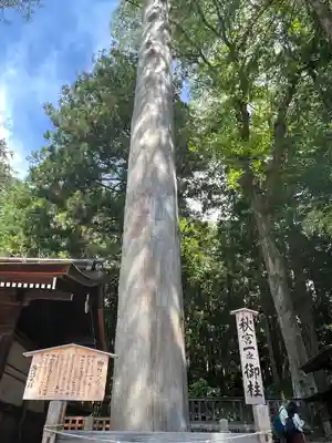 諏訪大社下社秋宮(長野県)