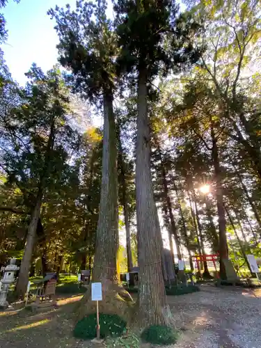 大神神社の自然