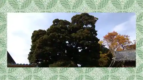 九重神社(埼玉県)