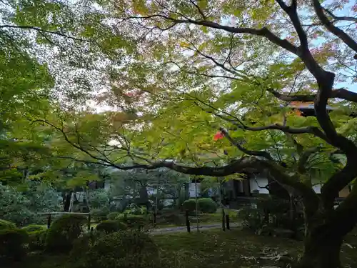 青蓮院門跡(京都府)