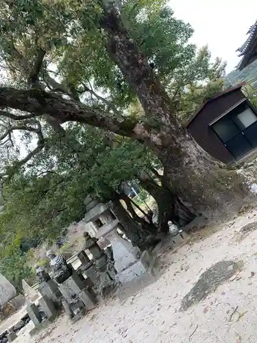 普賢寺の建物その他