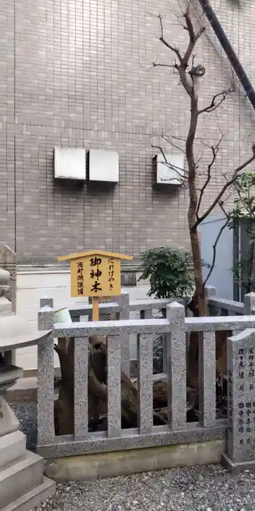 さいの木神社(大阪府)