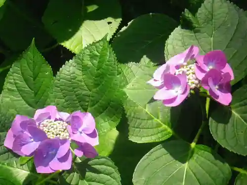 御霊神社の自然