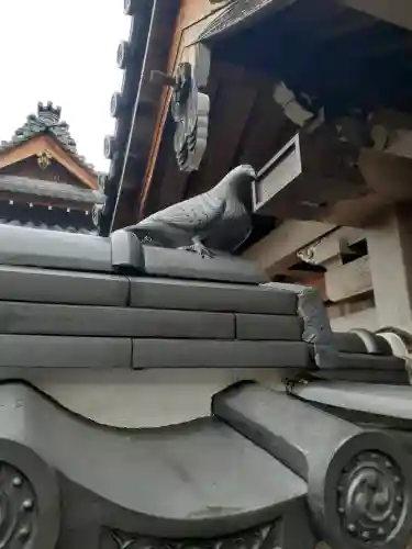 了信寺の{uncategorized: "未分類", other: "その他", undefined: "問題あり", building: "その他建物", grave: "お墓", sacred_gate: "鳥居", guardian: "狛犬", statue: "像", buddha: "仏像", history: "歴史", nature: "自然", garden: "庭園", animal: "動物", pagoda: "塔", temizu: "手水舎", mountain_gate: "山門・神門", sanctuary: "本殿・本堂", subordinate: "末社・摂社", art: "芸術", scenery: "景色", jizo: "地蔵", ema: "絵馬", goshuin: "御朱印", omikuji: "おみくじ", items: "授与品その他", amulet: "お守り", goshuincho: "御朱印帳", eats: "食事", festival: "お祭り", votive_dance: "神楽", shichigosan: "七五三参", wedding: "結婚式", experience: "体験その他", initially: "初詣", around: "周辺", anti_infection: "感染症対策"}