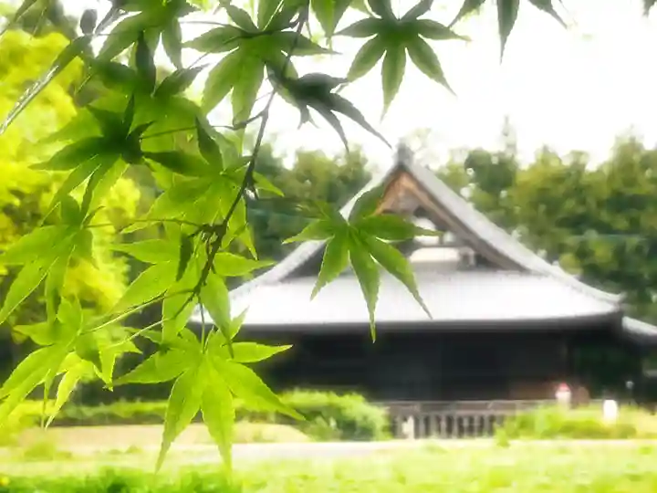 陸奥国分寺薬師堂の自然