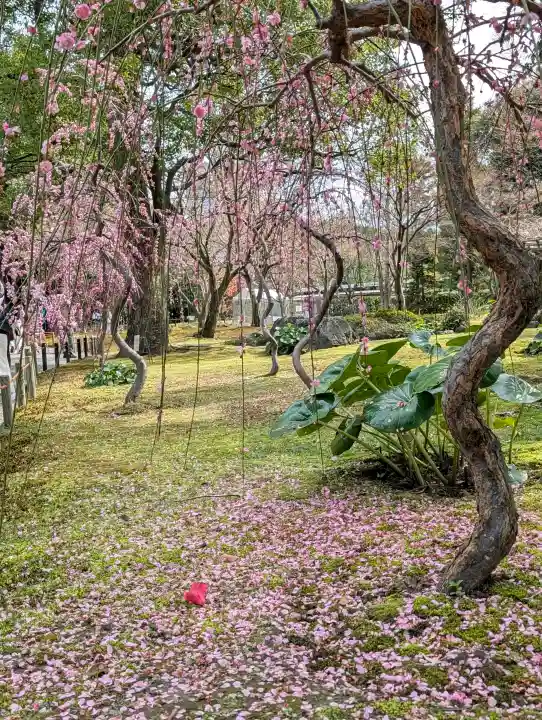 城南宮の{uncategorized: "未分類", other: "その他", undefined: "問題あり", building: "その他建物", grave: "お墓", sacred_gate: "鳥居", guardian: "狛犬", statue: "像", buddha: "仏像", history: "歴史", nature: "自然", garden: "庭園", animal: "動物", pagoda: "塔", temizu: "手水舎", mountain_gate: "山門・神門", sanctuary: "本殿・本堂", subordinate: "末社・摂社", art: "芸術", scenery: "景色", jizo: "地蔵", ema: "絵馬", goshuin: "御朱印", omikuji: "おみくじ", items: "授与品その他", amulet: "お守り", goshuincho: "御朱印帳", eats: "食事", festival: "お祭り", votive_dance: "神楽", shichigosan: "七五三参", wedding: "結婚式", experience: "体験その他", initially: "初詣", around: "周辺", anti_infection: "感染症対策"}