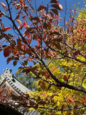 一乗院(和歌山県)