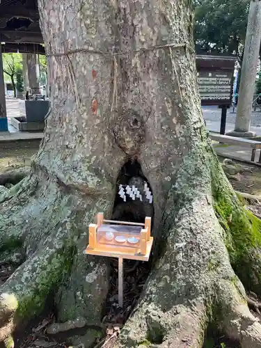 一言主神社(茨城県)