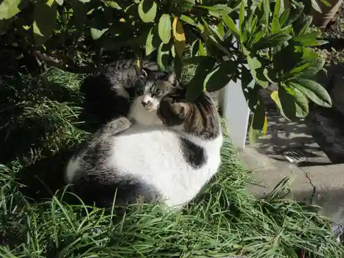 薬王寺(神奈川県)