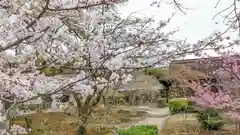 勧修寺(京都府)