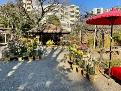 福禄寿尊堂（向島百花園）(東京都)