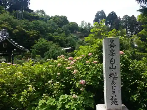 善峯寺(京都府)
