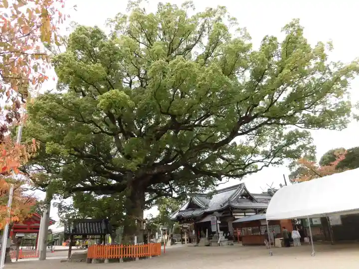 百舌鳥八幡宮のその他建物