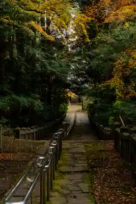 柞原八幡宮(大分県)