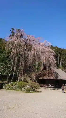 高麗神社の庭園