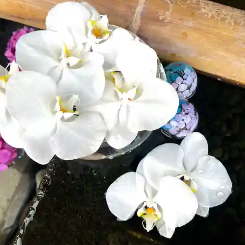 上尾御嶽神社の手水舎