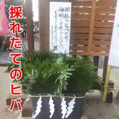 七重浜海津見神社(北海道)