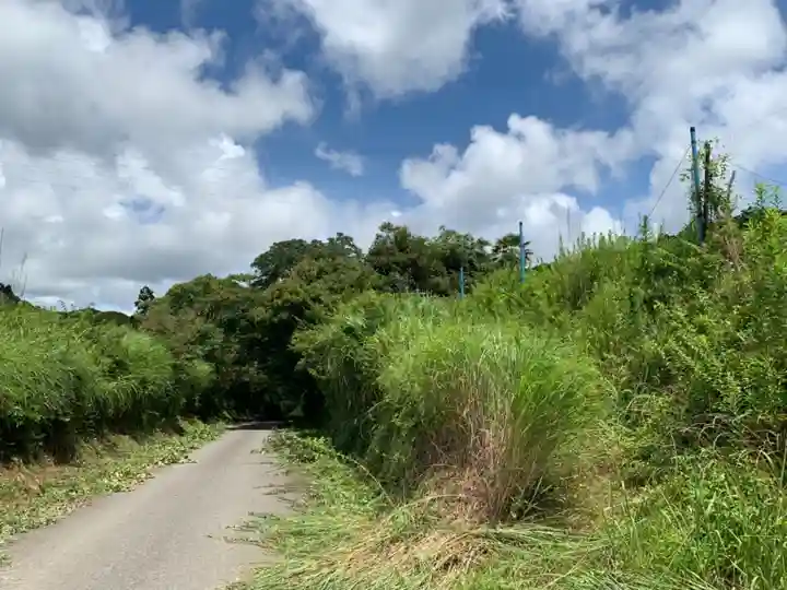 大山祇神社の周辺