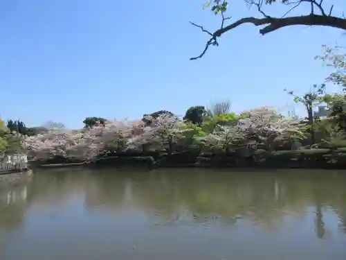 鶴岡八幡宮(神奈川県)