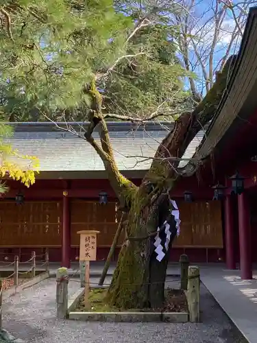 笠間稲荷神社の庭園