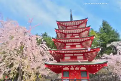 新倉富士浅間神社(山梨県)