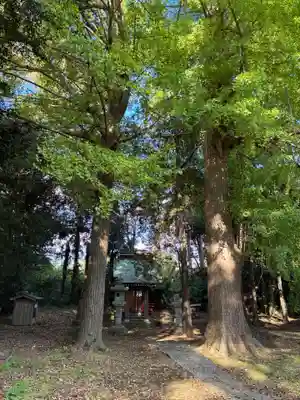 妙見神社(千葉県)