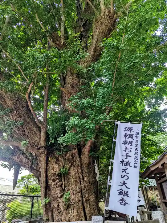 海南神社の自然