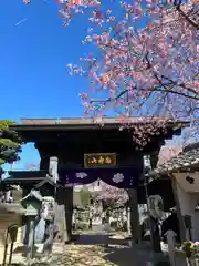 密藏院(埼玉県)