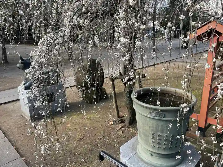 川口神社(埼玉県)