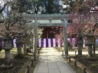 北野天満宮(京都府)