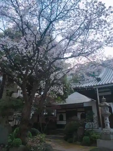 成願寺のその他建物