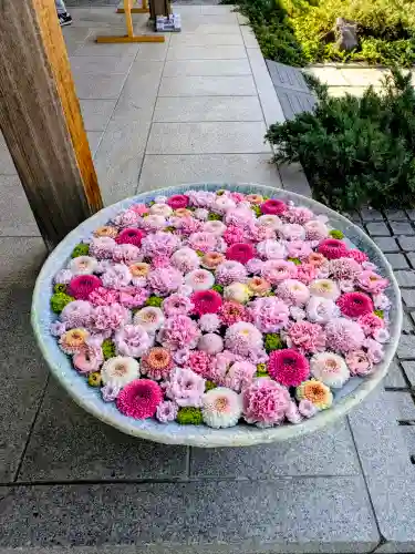 行田八幡神社の{uncategorized: "未分類", other: "その他", undefined: "問題あり", building: "その他建物", grave: "お墓", sacred_gate: "鳥居", guardian: "狛犬", statue: "像", buddha: "仏像", history: "歴史", nature: "自然", garden: "庭園", animal: "動物", pagoda: "塔", temizu: "手水舎", mountain_gate: "山門・神門", sanctuary: "本殿・本堂", subordinate: "末社・摂社", art: "芸術", scenery: "景色", jizo: "地蔵", ema: "絵馬", goshuin: "御朱印", omikuji: "おみくじ", items: "授与品その他", amulet: "お守り", goshuincho: "御朱印帳", eats: "食事", festival: "お祭り", votive_dance: "神楽", shichigosan: "七五三参", wedding: "結婚式", experience: "体験その他", initially: "初詣", around: "周辺", anti_infection: "感染症対策"}