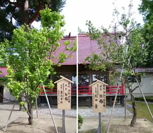 仁木神社の自然