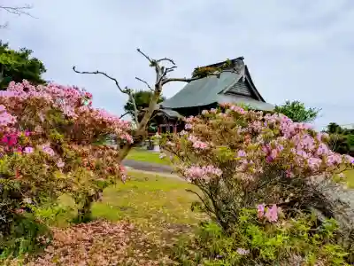勝覚寺(千葉県)