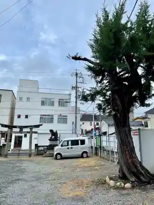 冨士浅間神社(長野県)