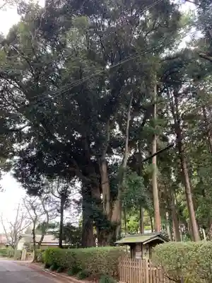 側高神社(千葉県)