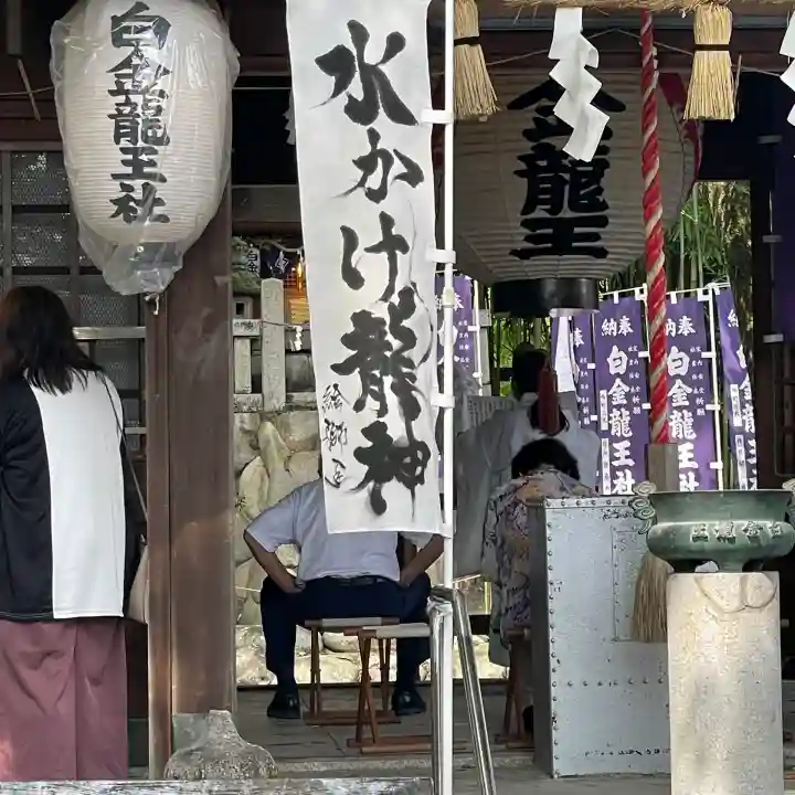 白金龍王社(愛知県)