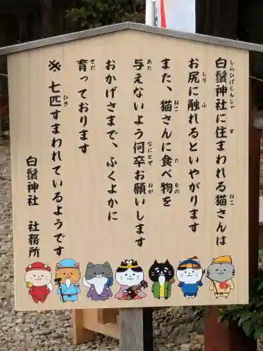 白鬚神社の{uncategorized: "未分類", other: "その他", undefined: "問題あり", building: "その他建物", grave: "お墓", sacred_gate: "鳥居", guardian: "狛犬", statue: "像", buddha: "仏像", history: "歴史", nature: "自然", garden: "庭園", animal: "動物", pagoda: "塔", temizu: "手水舎", mountain_gate: "山門・神門", sanctuary: "本殿・本堂", subordinate: "末社・摂社", art: "芸術", scenery: "景色", jizo: "地蔵", ema: "絵馬", goshuin: "御朱印", omikuji: "おみくじ", items: "授与品その他", amulet: "お守り", goshuincho: "御朱印帳", eats: "食事", festival: "お祭り", votive_dance: "神楽", shichigosan: "七五三参", wedding: "結婚式", experience: "体験その他", initially: "初詣", around: "周辺", anti_infection: "感染症対策"}