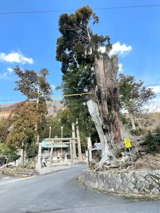 熊野神社(滋賀県)